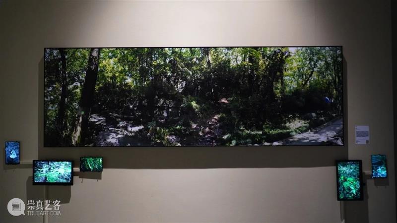 展览现场 (二) | 荒野之声Sounds Wild 视频资讯 液态 Liquid 现场 荒野 Sounds Wild 叶御风 影像 装置 动态 图像 波音 崇真艺客
